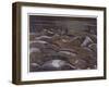 Hill 60 from the Cutting, British Artists at the Front, Continuation of the Western Front, c.1918-Paul Nash-Framed Giclee Print