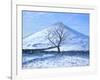 Hill and Tree, Derbyshire, 2008-Andrew Macara-Framed Giclee Print