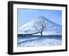 Hill and Tree, Derbyshire, 2008-Andrew Macara-Framed Giclee Print