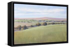 Hill Country II-Tim OToole-Framed Stretched Canvas