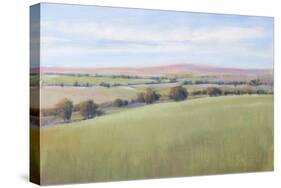 Hill Country II-Tim OToole-Stretched Canvas