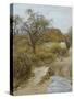 Hill Farm, Symondsbury, Dorset-Helen Allingham-Stretched Canvas