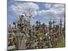 Hill of Crosses, Near Siauliai, Lithuania, Baltic States, Europe-Gary Cook-Mounted Photographic Print