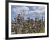 Hill of Crosses, Near Siauliai, Lithuania, Baltic States, Europe-Gary Cook-Framed Photographic Print