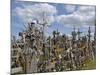 Hill of Crosses, Near Siauliai, Lithuania, Baltic States, Europe-Gary Cook-Mounted Photographic Print