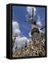 Hill of Crosses, Near Siauliai, Lithuania, Baltic States, Europe-Gary Cook-Framed Stretched Canvas