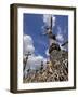 Hill of Crosses, Near Siauliai, Lithuania, Baltic States, Europe-Gary Cook-Framed Photographic Print