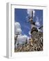 Hill of Crosses, Near Siauliai, Lithuania, Baltic States, Europe-Gary Cook-Framed Photographic Print