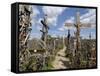 Hill of Crosses, Near Siauliai, Lithuania, Baltic States-Gary Cook-Framed Stretched Canvas