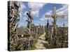 Hill of Crosses, Near Siauliai, Lithuania, Baltic States-Gary Cook-Stretched Canvas