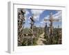 Hill of Crosses, Near Siauliai, Lithuania, Baltic States-Gary Cook-Framed Photographic Print