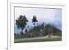 Hill of Crosses, Near Siauliai, Samogitian, Lithuania-null-Framed Giclee Print