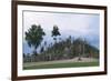 Hill of Crosses, Near Siauliai, Samogitian, Lithuania-null-Framed Giclee Print