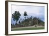 Hill of Crosses, Near Siauliai, Samogitian, Lithuania-null-Framed Giclee Print