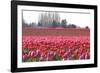 Hill of Pink-Dana Styber-Framed Photographic Print