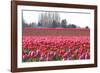 Hill of Pink-Dana Styber-Framed Photographic Print