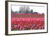 Hill of Pink-Dana Styber-Framed Photographic Print