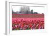 Hill of Pink-Dana Styber-Framed Photographic Print