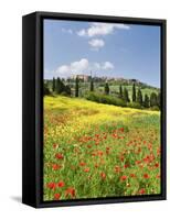 Hill Town Pienza and Field of Poppies, Tuscany, Italy-Nadia Isakova-Framed Stretched Canvas