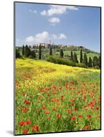 Hill Town Pienza and Field of Poppies, Tuscany, Italy-Nadia Isakova-Mounted Photographic Print