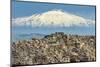 Hill Town with Backdrop of Snowy Volcano Mount Etna, Gangi, Palermo Province-Rob Francis-Mounted Photographic Print