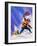 Hillard and Tensing on Top of Mount Everest-null-Framed Giclee Print