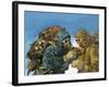 Hillary and Tensing Prepare to Assault the Final Ridge-Ferdinando Tacconi-Framed Giclee Print