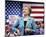 Hillary Rodham Clinton-null-Mounted Photo