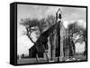 Hillborough Church-null-Framed Stretched Canvas