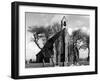 Hillborough Church-null-Framed Photographic Print