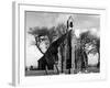 Hillborough Church-null-Framed Photographic Print