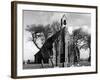 Hillborough Church-null-Framed Photographic Print