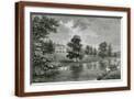 Brown Frame