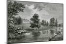 Wood Mount