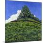 Hillock-Anthony Amies-Mounted Giclee Print