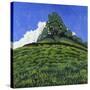 Hillock-Anthony Amies-Stretched Canvas