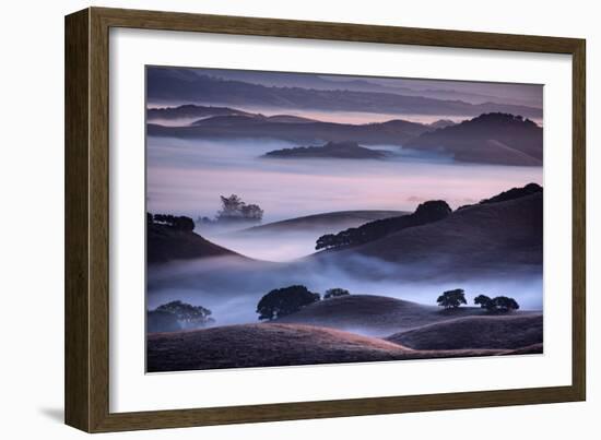 Hills and Fog of Northern California, Petaluma, Bay Area-Vincent James-Framed Photographic Print