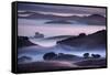 Hills and Fog of Northern California, Petaluma, Bay Area-Vincent James-Framed Stretched Canvas