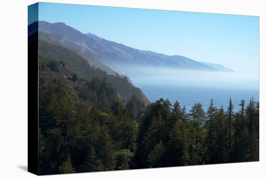 Hills and forest with misty coastline beyond, Big Sur, California, United States of America-Ethel Davies-Stretched Canvas