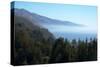 Hills and forest with misty coastline beyond, Big Sur, California, United States of America-Ethel Davies-Stretched Canvas