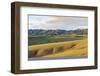 Hills and mountains, Bayandalai district, South Gobi province, Mongolia, Central Asia, Asia-Francesco Vaninetti-Framed Photographic Print