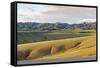 Hills and mountains, Bayandalai district, South Gobi province, Mongolia, Central Asia, Asia-Francesco Vaninetti-Framed Stretched Canvas