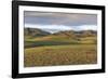 Hills and mountains, Bayandalai district, South Gobi province, Mongolia, Central Asia, Asia-Francesco Vaninetti-Framed Photographic Print