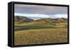 Hills and mountains, Bayandalai district, South Gobi province, Mongolia, Central Asia, Asia-Francesco Vaninetti-Framed Stretched Canvas