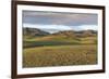 Hills and mountains, Bayandalai district, South Gobi province, Mongolia, Central Asia, Asia-Francesco Vaninetti-Framed Photographic Print