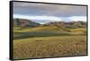 Hills and mountains, Bayandalai district, South Gobi province, Mongolia, Central Asia, Asia-Francesco Vaninetti-Framed Stretched Canvas