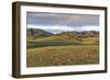 Hills and mountains, Bayandalai district, South Gobi province, Mongolia, Central Asia, Asia-Francesco Vaninetti-Framed Photographic Print