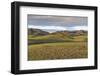 Hills and mountains, Bayandalai district, South Gobi province, Mongolia, Central Asia, Asia-Francesco Vaninetti-Framed Photographic Print