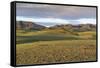 Hills and mountains, Bayandalai district, South Gobi province, Mongolia, Central Asia, Asia-Francesco Vaninetti-Framed Stretched Canvas