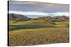 Hills and mountains, Bayandalai district, South Gobi province, Mongolia, Central Asia, Asia-Francesco Vaninetti-Stretched Canvas